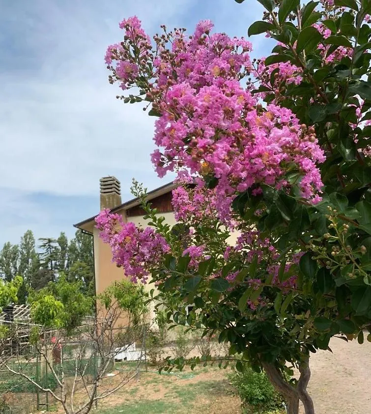 مزرعة للإقامة Agriturismo Monteroseo Bedizzole إيطاليا