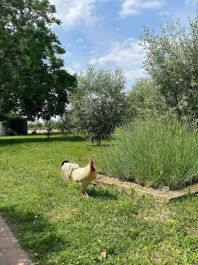 Agriturismo Monteroseo Bedizzole