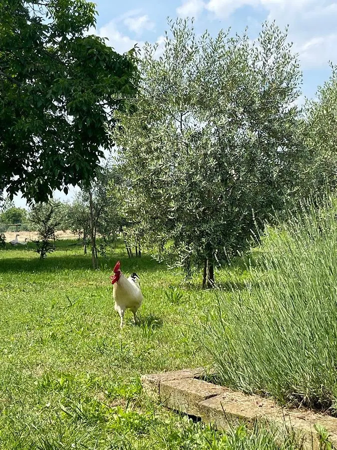 مزرعة للإقامة Agriturismo Monteroseo Bedizzole